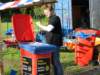 Koninginnedag 2010 303_small.jpg